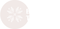 Broderie Timisoara
